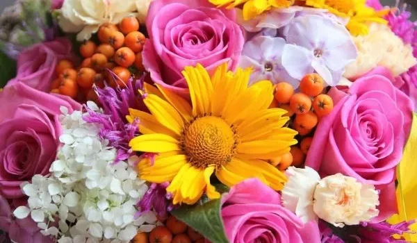 گل های رنگارنگ خانگی